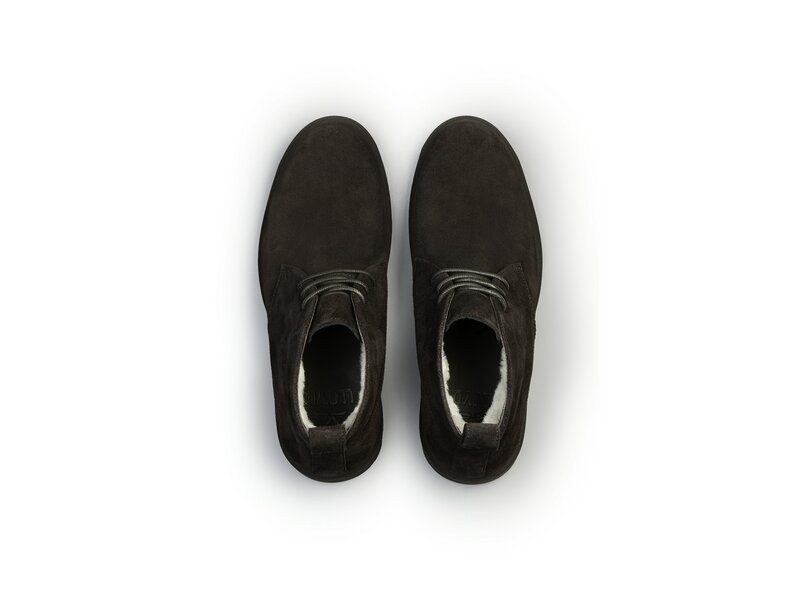 Lloyd - VENTON 325L - Braun 