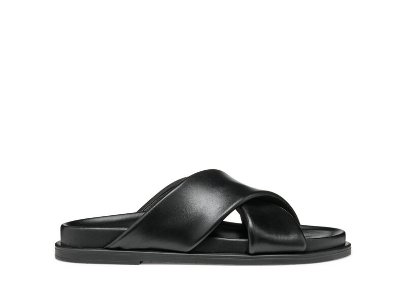  Geox - D ADELASH B - Schwarz 