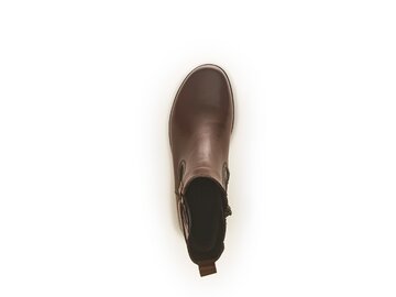 Gabor - Stiefelette - Braun