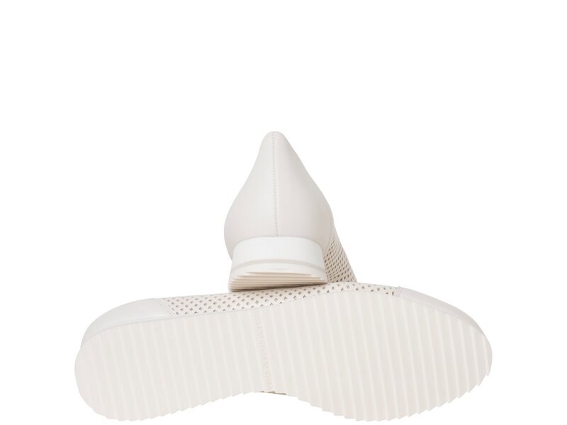 Hassia - Piacenza - 7-301621-12000 - Creme 