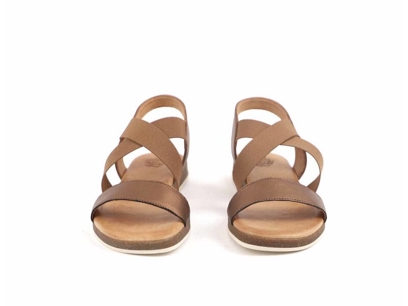 Apple of Eden - IRIS 55 - Flat Sandal - Bronze 