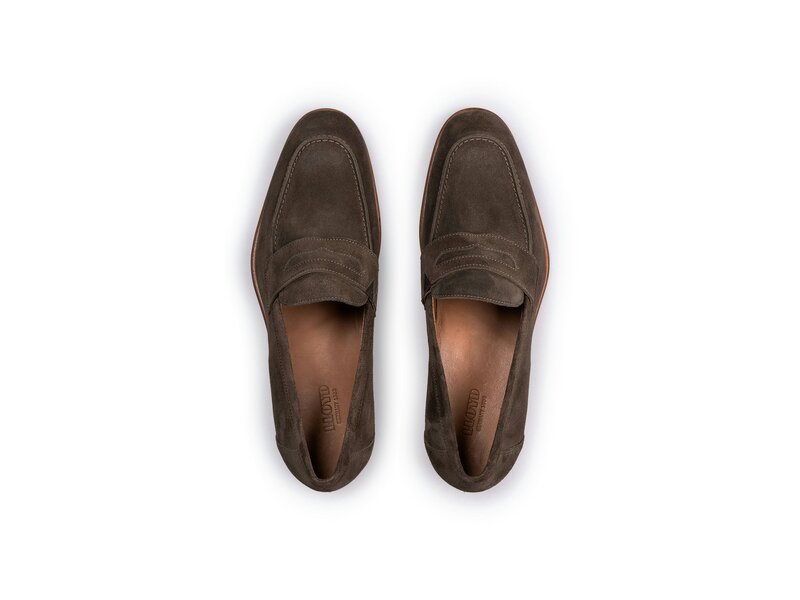 Lloyd - PORTER - Braun 