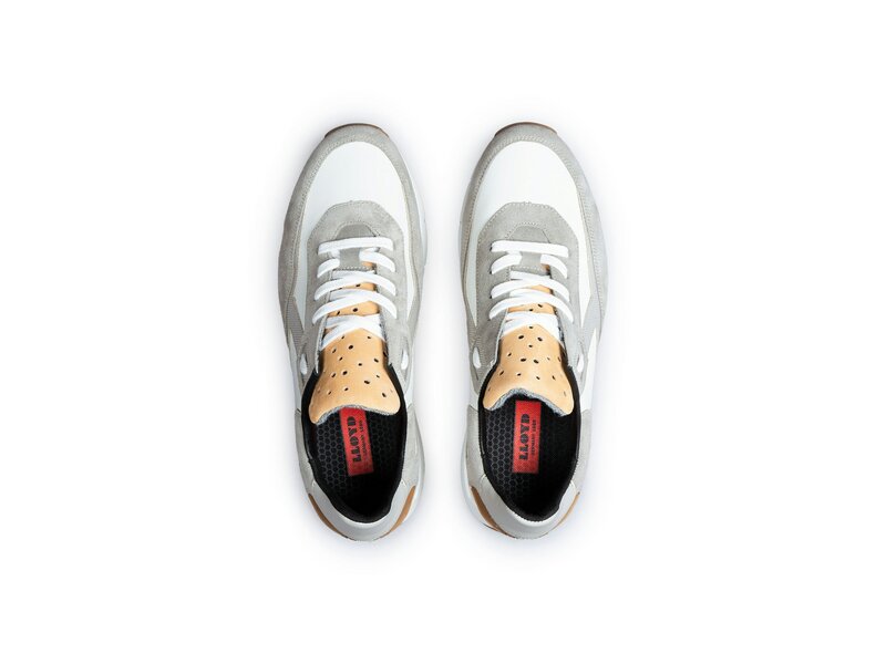 Lloyd - AMES - Mehrfarbig 