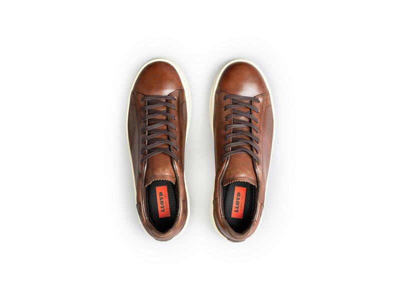 Lloyd - BLACKWELL - Braun 