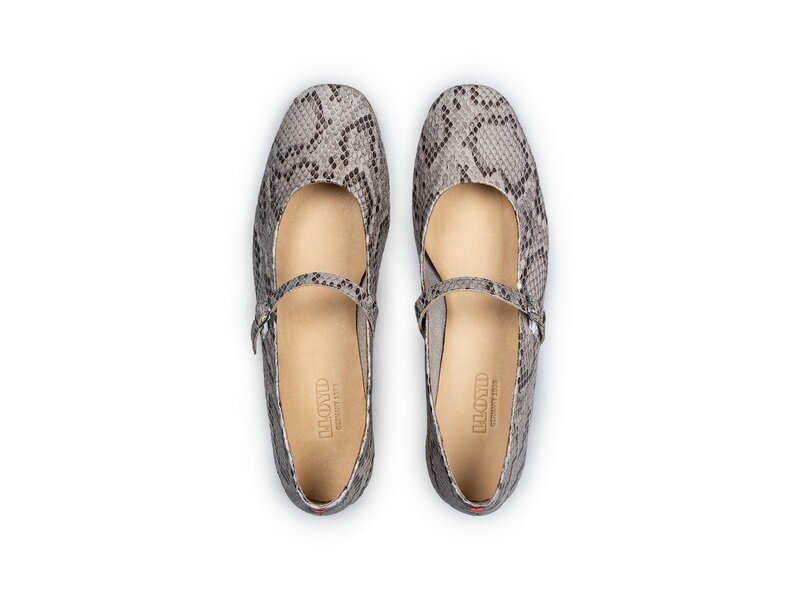 Lloyd - BALLERINAS - Mehrfarbig 