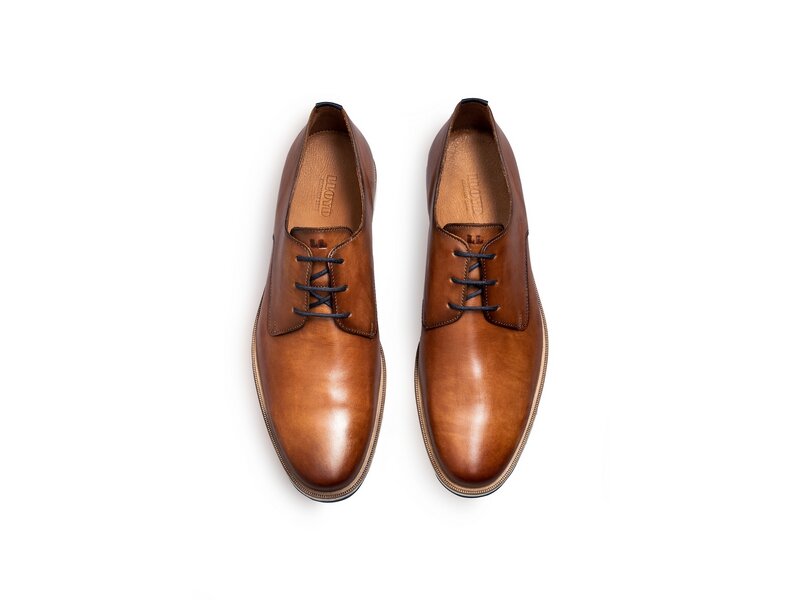 Lloyd - DAKIN - Braun 