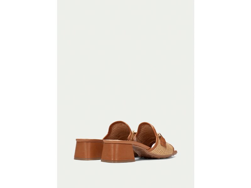 Hispanitas - DALLAS V25 - Braun 