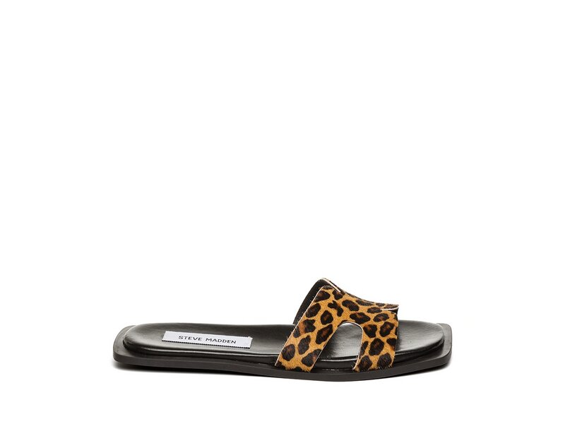 Steve Madden - Sofia-L - Schwarz;Mehrfarbig 