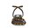 Steve Madden - Gabby-L - Mehrfarbig 