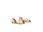 Apple of Eden - CHIUSI - Beige 