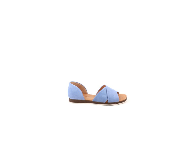 Apple of Eden - CELINE - Blau 