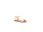 Apple of Eden - ISA - Beige 
