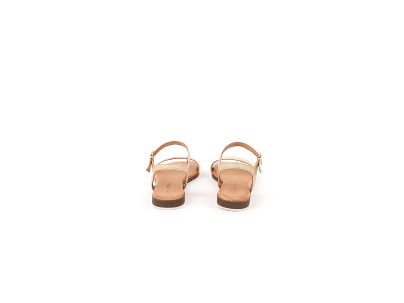 Apple of Eden - ISA - Beige 