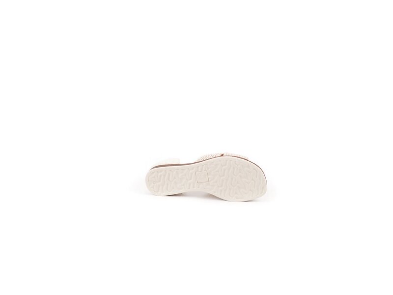 Apple of Eden - CELINE - Beige 