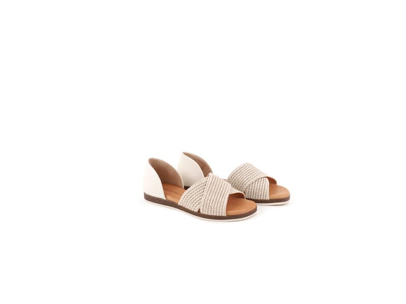 Apple of Eden - CELINE - Beige 