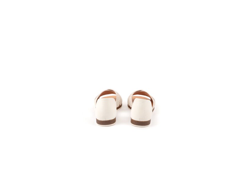 Apple of Eden - CELINE - Beige 