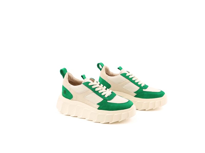 Apple of Eden - Sneaker - BLAIR 36 GREEN - Grün 