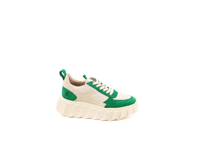 Apple of Eden - Sneaker - BLAIR 36 GREEN - Grün 