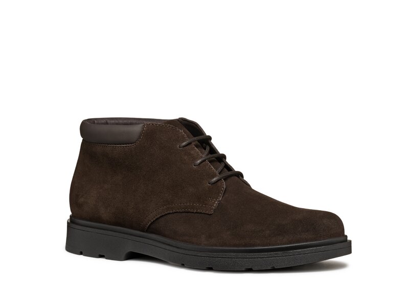 Geox - U SPHERICA EC1 B - SCAM. - Braun 