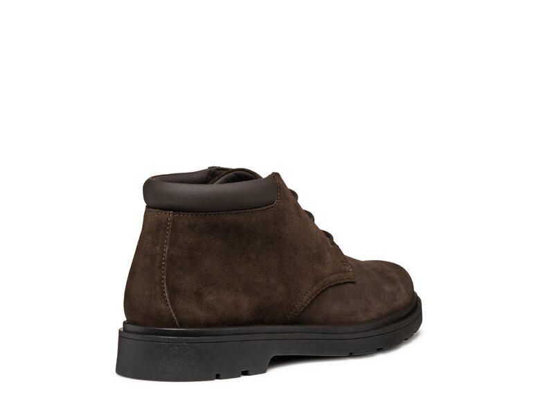 Geox - U SPHERICA EC1 B - SCAM. - Braun 