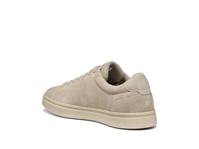  Geox - U BALTMOORE A - Beige 