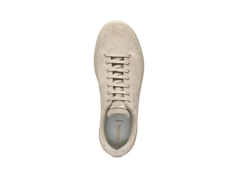  Geox - U BALTMOORE A - Beige 