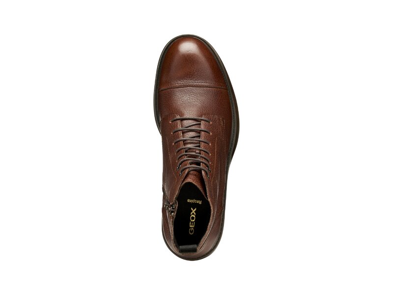 Geox - U HENREYS - Braun 